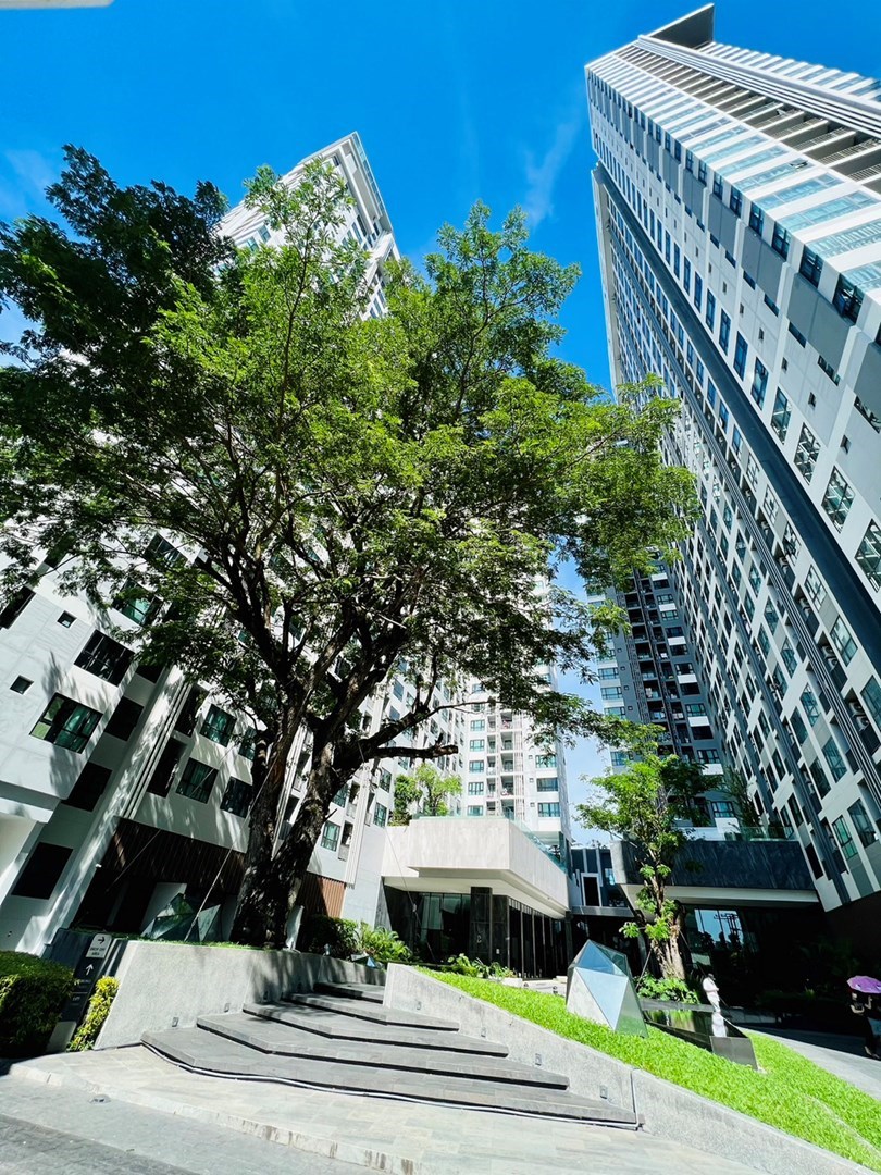 The Base Pattaya For Sale - Condominium - Pattaya Central - 
